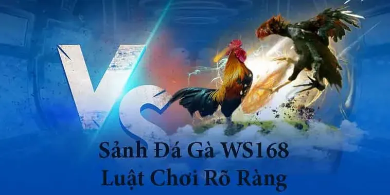 Tìm Hiểu Cách Chơi Đá Gà WS168 Tại SV368 Hấp Dẫn Nhất 2025