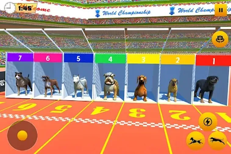 Cách Chơi Game Nhanh Đua Chó Tại SV368 Thú Vị Cho Tân Thủ