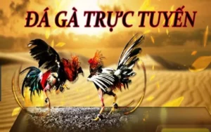 Tìm Hiểu Cách Chơi Đá Gà 3D SV368 Đỉnh Cao Giải Trí